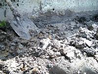 �y�N����