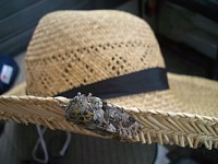 �����X�q�ɂ����Z�~