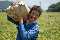 �����������Ă����͂����܂�