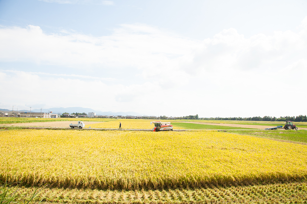 お米の家倉 お米の注文
