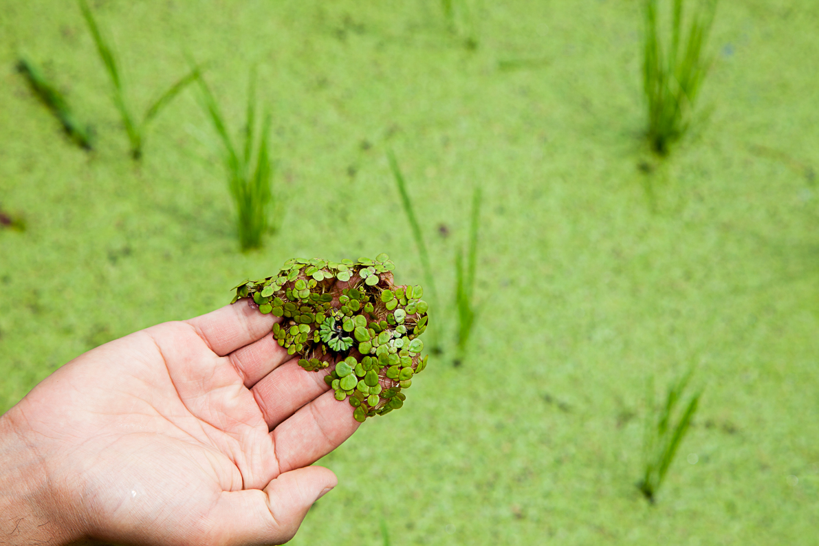 お米の家倉について 1