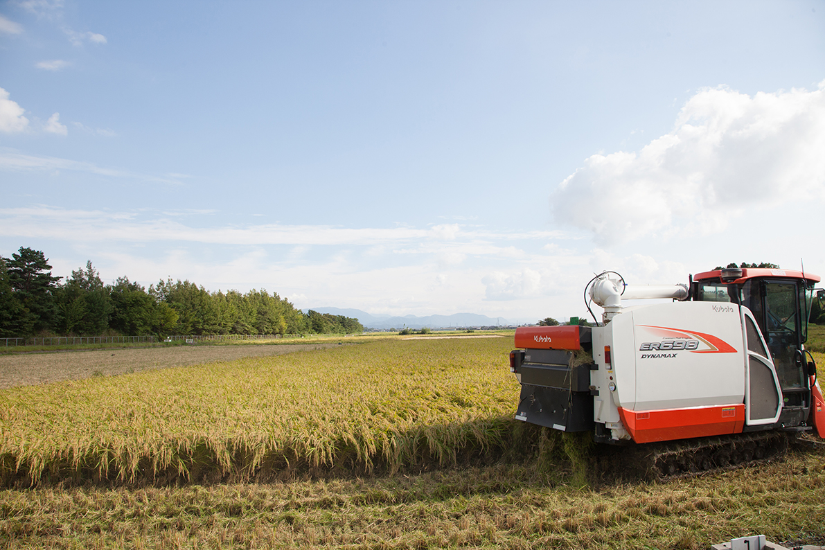 家倉のお米ができるまで