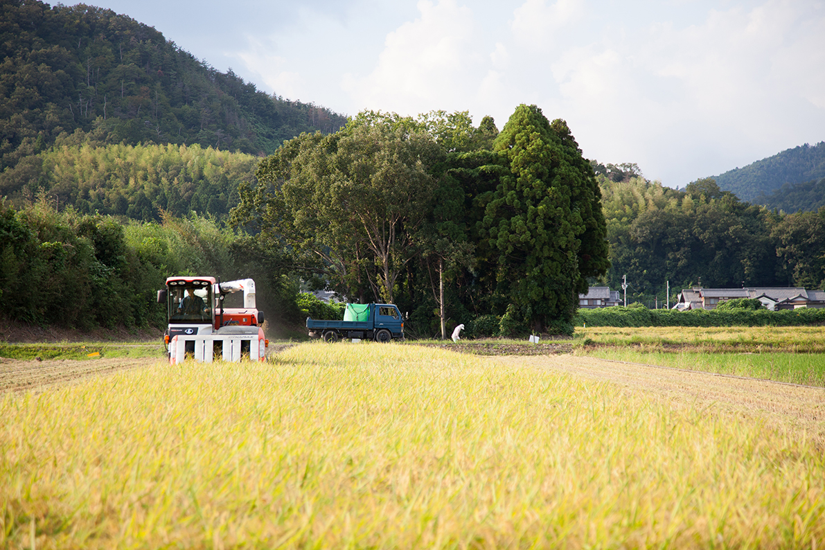 家倉のお米ができるまで