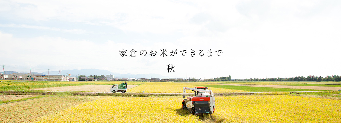 家倉のお米ができるまで 秋