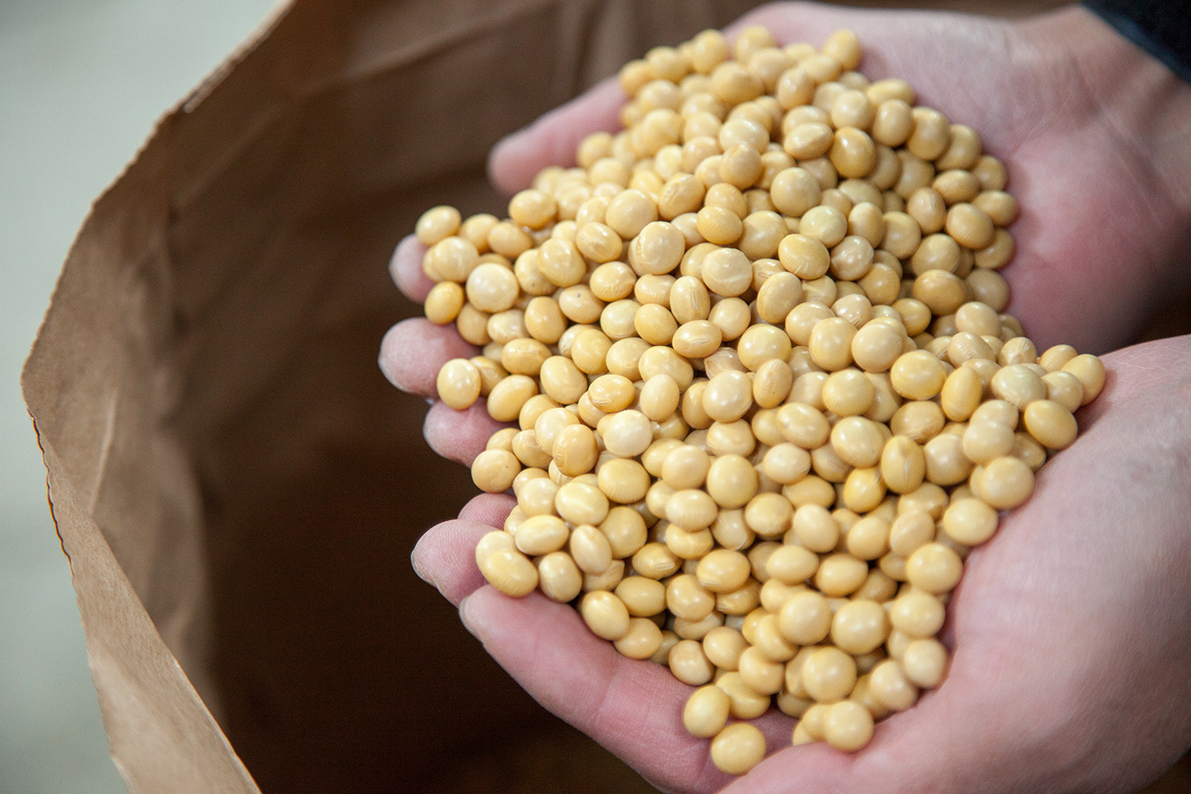 家倉のお米ができるまで