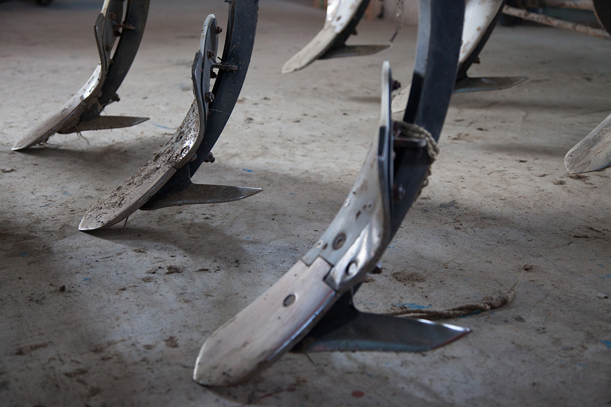 家倉のお米ができるまで