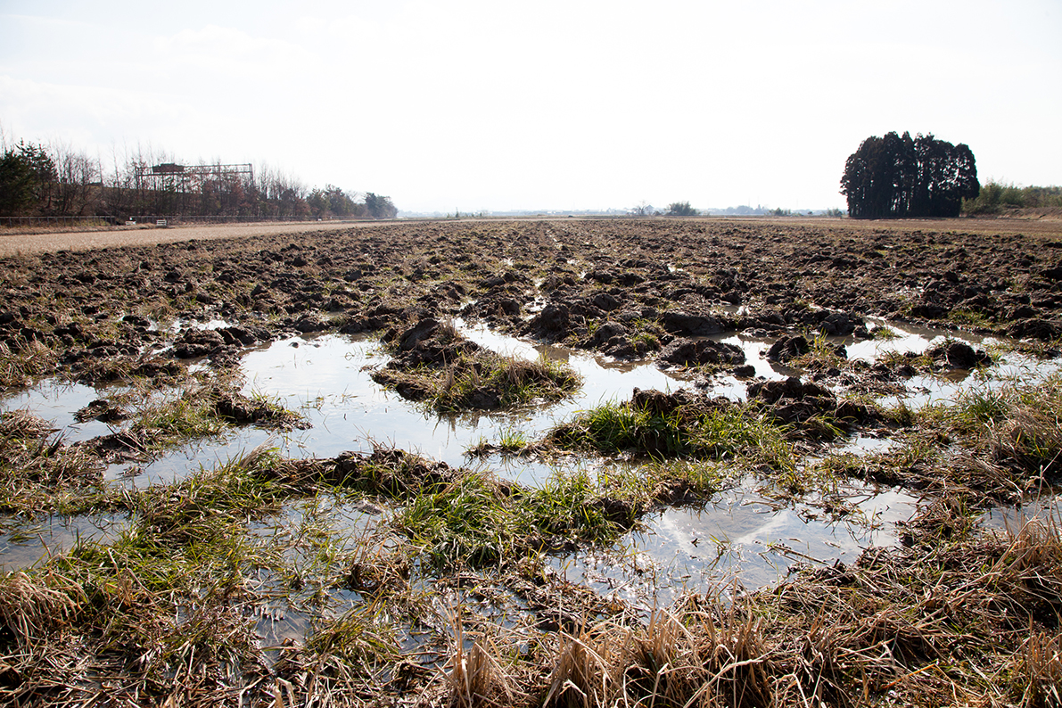 家倉のお米ができるまで