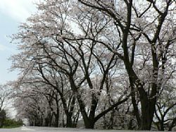 ���A���J�I