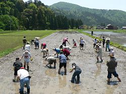 �c�A���̌��@�Q��