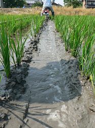 �c�ʃ��C�_�[