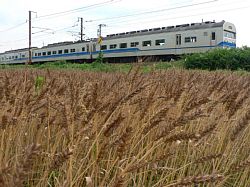 �����̎��n