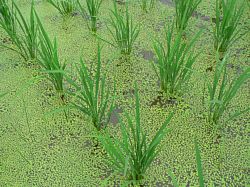 �_��T���i����