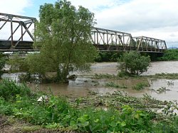 �����쑝��