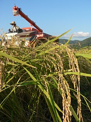 ���J�̔����@���n�ł�