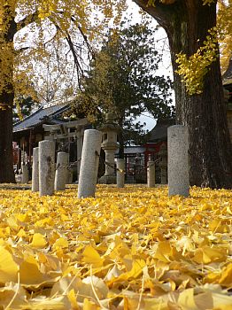 �C�`���E���O�~