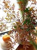 �ꌎ�̉Ƒq��^