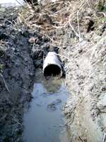 �r���p�p�C�v