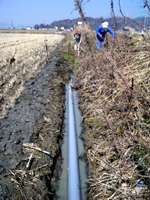 �r���p�p�C�v�̕~��