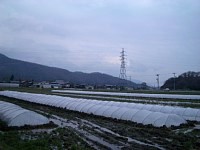 �ǂ���A�Ζk