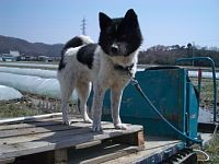 �^���@�̏�́A��񂱂�