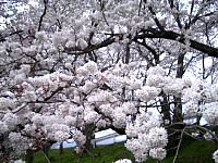 ���A���J