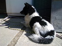 ���낲��A��񂱂�