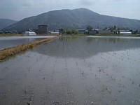 4/30�̓c��ڂ̗l�q