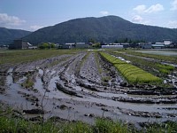 �c�菭�Ȃ��c