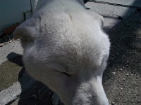 ���ˁA���킢����