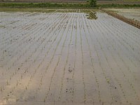 �^�������A�c�A��