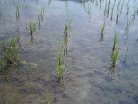 �c�A�����I�����c���