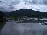 �ǂ���A�܂��