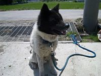 �ŋߏ���������Ȃ��`