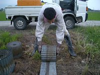 �l�V�[�g�O��