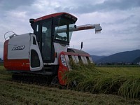 �Ђ�������