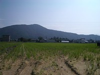 ���Ղ̓c���