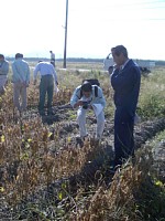 �哤���n�׋���