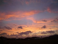 ���܂�ɃI�����W�߂��āE�E�E