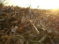 �哤�̊����