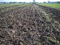 �����̔d��A�J�n