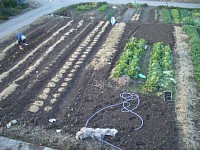 �䂪�Ƃ́A��ؔ�