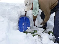 ��؂̐�@��