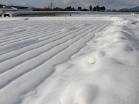 �ȒP�ɂ͗Z�������ɂȂ���