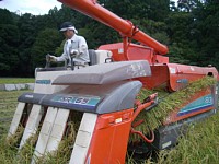 ���������܂��A���n�ł�