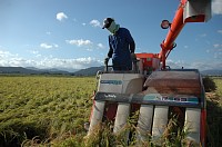 �H�̎��n��