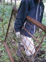 �C�m�V�V����^�т܂�