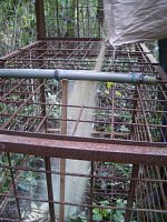 �Ăʂ��ŃC�m�V�V��U��