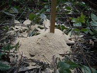 �Ăʂ��ɂƂ肱