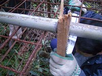 �d�|���̒���