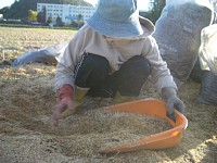 �u�݁v�ɁA�ʂ����W�߂܂�